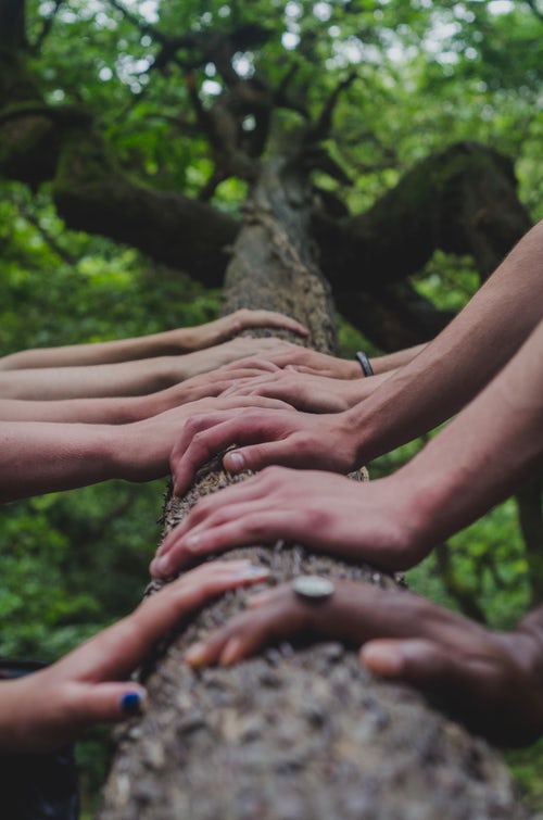 Hands on the Tree Trunk