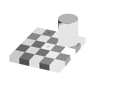 checker input