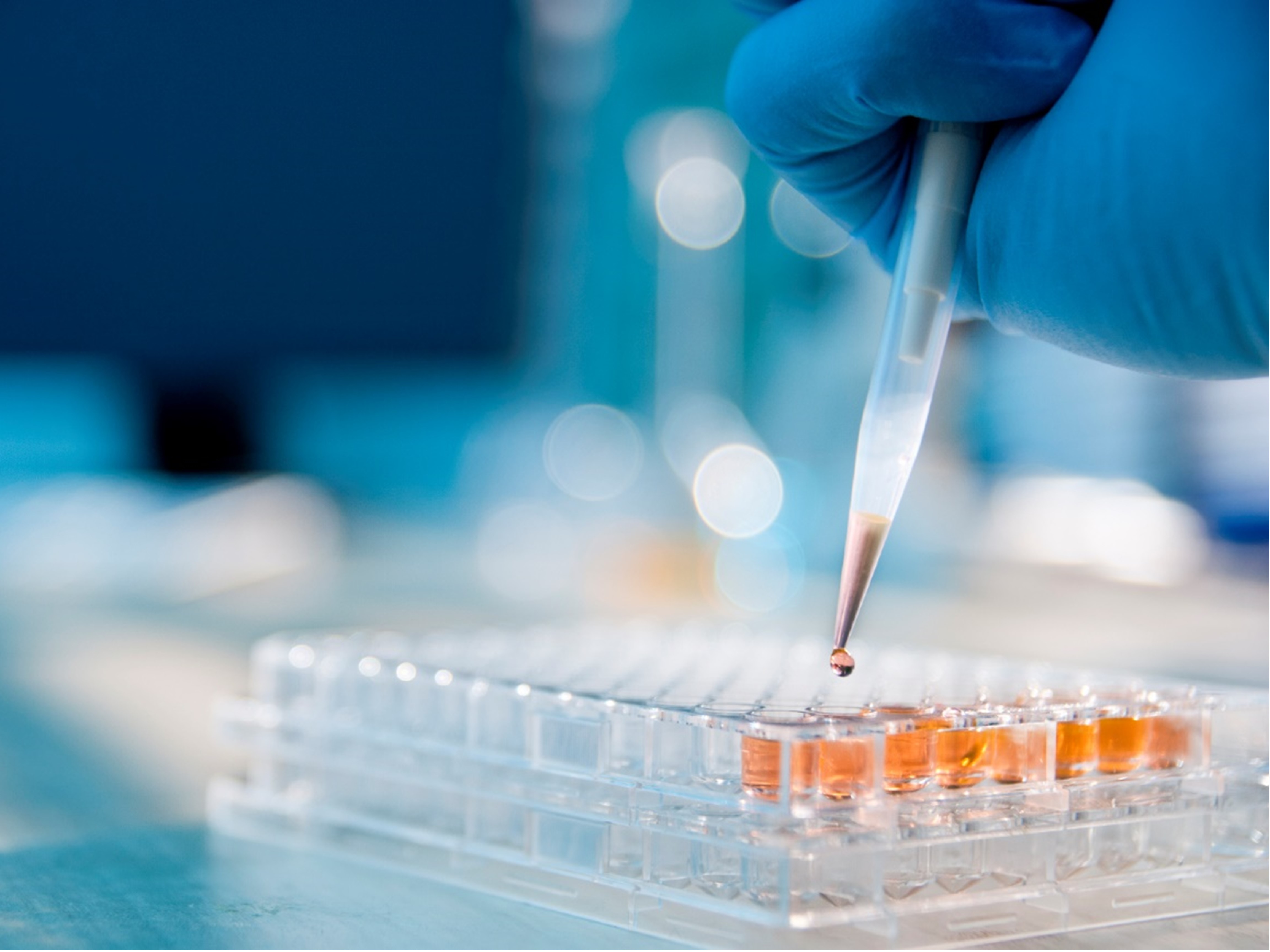 image of a pipetting with a flow cytometry plates